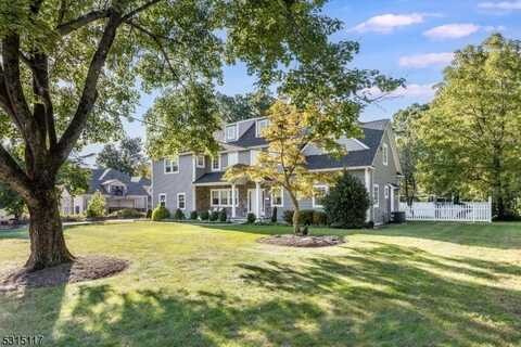 159 Sycamore Ave, Livingston, NJ 07039