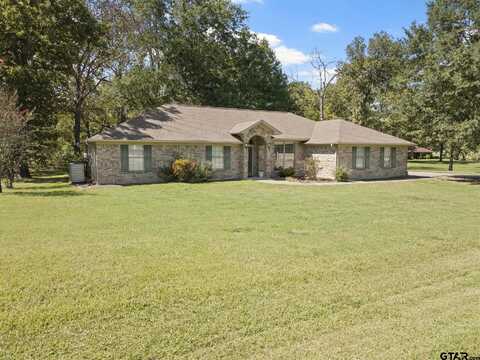 369 CR 1335, Mount Pleasant, TX 75455