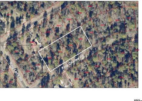Lots 34-37 King Charles Rd, Scroggins, TX 75480