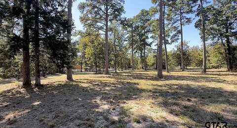 .84-acre King Charles Rd, Scroggins, TX 75480