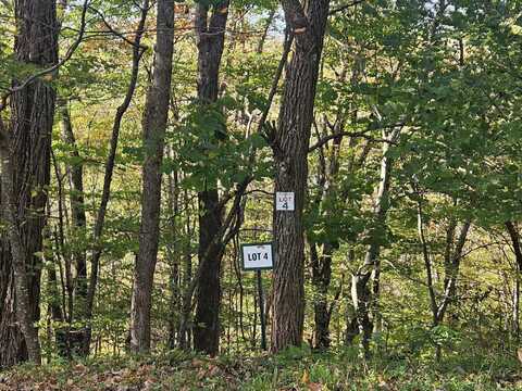 Lot 4 Hideaway, Slatyfork, WV 26291