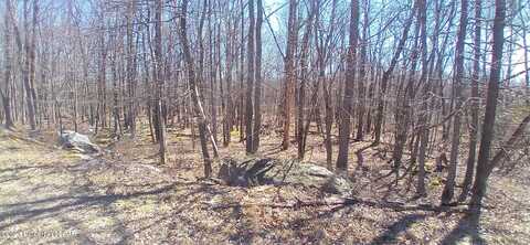 SH Lot 006 Southern Hills Court, Hazle Twp, PA 18202