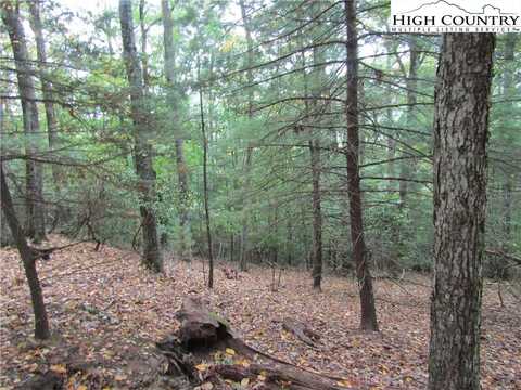 Tbd TBD Jobs Rd, Laurel Springs, NC 28644