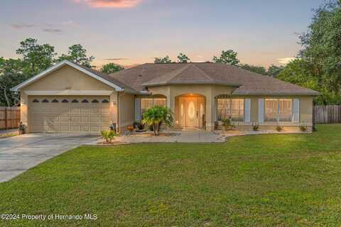 12055 Robina Road, Weeki Wachee, FL 34614