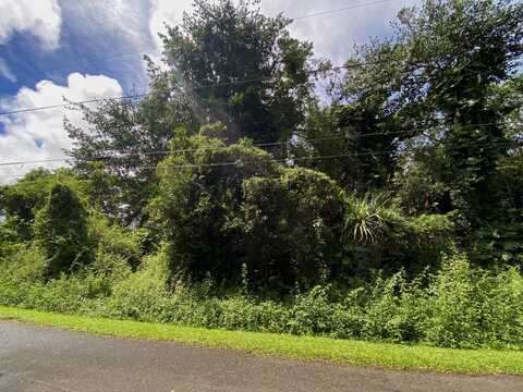 HEEPALI ST, PAHOA, HI 96778