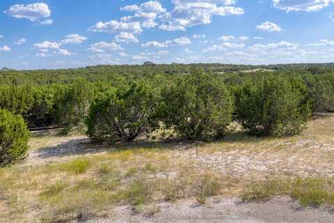 25 Alta Vista Dr, Lampasas, TX 76550