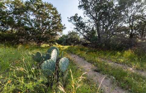 2.1 Acres Enchanted Valley Rd, Burnet, TX 78611