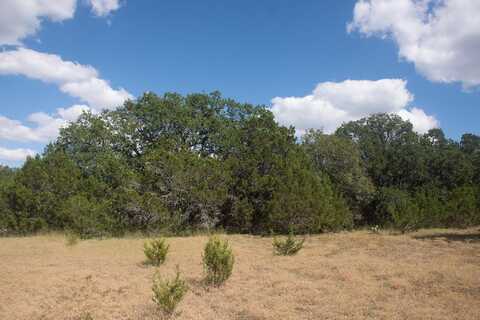 000 CR 206, Burnet, TX 78611