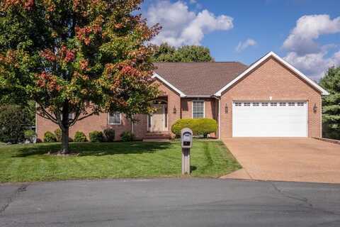 3821 BRIGADE CT, PENN LAIRD, VA 22846