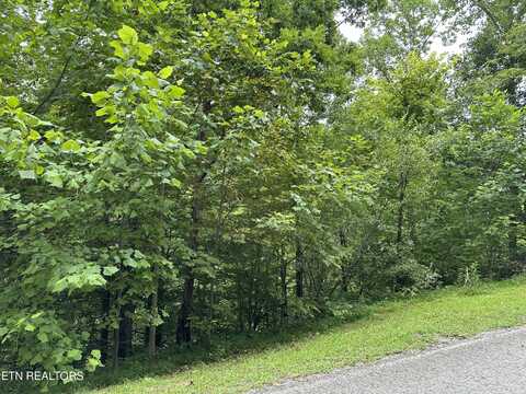 Lot 21 Ridge Rd, Caryville, TN 37714