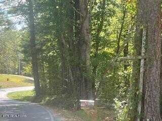 Catoosa Rd, Wartburg, TN 37887