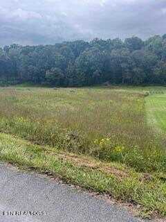 Lot#2 Shady Road, Strawberry Plains, TN 37871