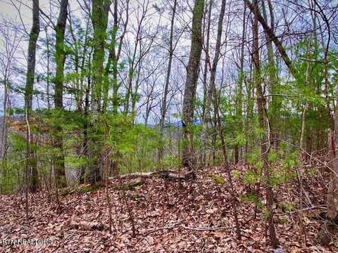 0 Oliver James Way, Sevierville, TN 37862