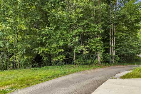 Lot 3r-1 Cove Lane, Oliver Springs, TN 37840