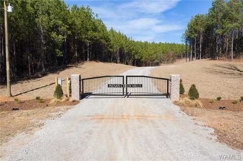 Lot 1 Indian Creek Hills, Duncanville, AL 35456