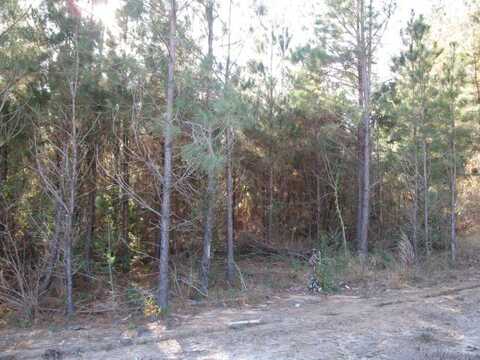 Lot 3 Parkview Estates, Ellisville, MS 39437