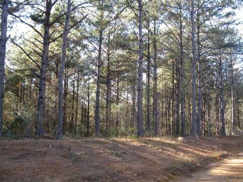 lot 1 Parkview Estates, Ellisville, MS 39437