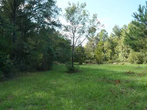 N/A Near 3338 County Road 110, Shubuta, MS 39360