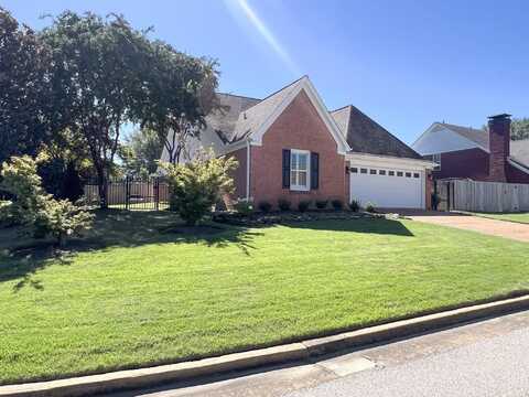 1139 BARN SWALLOW, Collierville, TN 38017