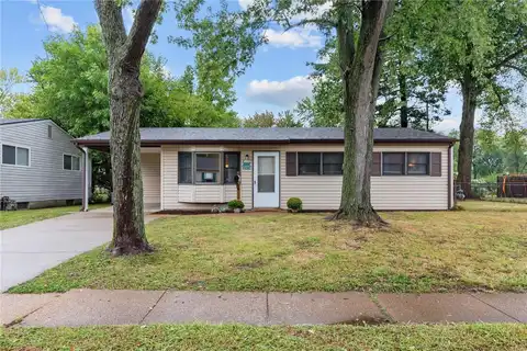 1125 Mullanphy Road, Florissant, MO 63031