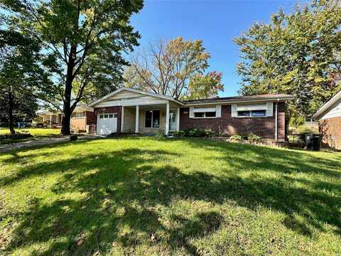 9915 Dunnideer Drive, Saint Louis, MO 63136