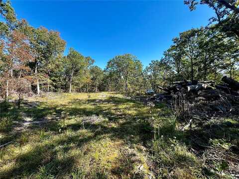 0 Austin Road, Bonne Terre, MO 63628