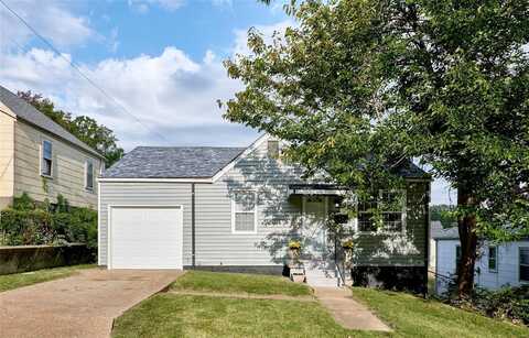 5729 Ramsey Drive, Saint Louis, MO 63136