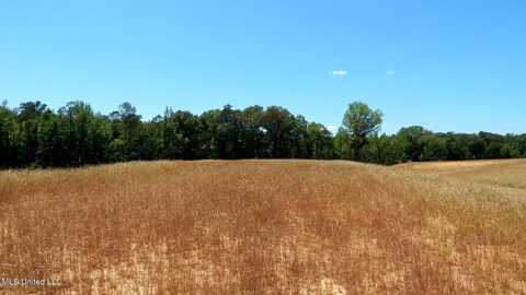 206 Hugh White State Park Road, Grenada, MS 38901