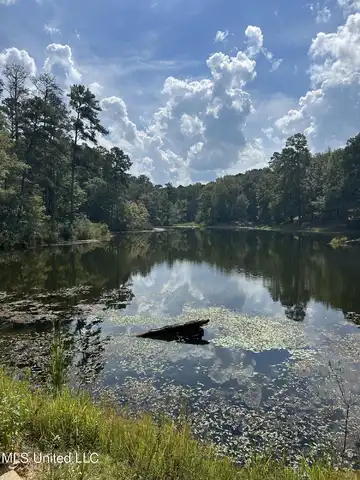 Evergreen Drive, Brandon, MS 39042