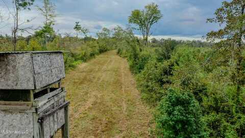 Red Dog Rd, Carthage, MS 39051