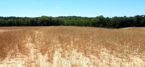 205 Hugh White State Park Road, Grenada, MS 38901