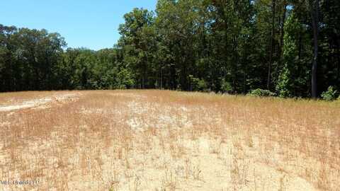 204 Hugh White State Park Road, Grenada, MS 38901