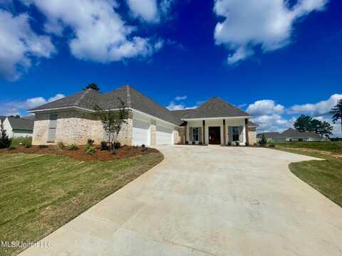 351 Wellstone Place, Madison, MS 39110