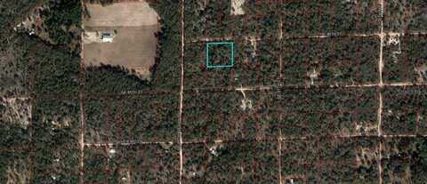 Lots 211-212 NE 86TH STREET, BRONSON, FL 32621