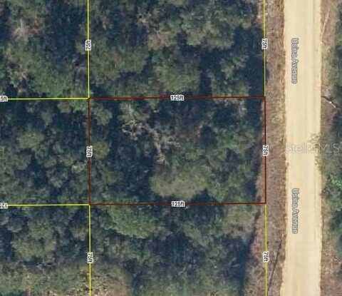 Lot 20 USINA AVENUE, INTERLACHEN, FL 32148