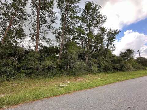 0 SW 131ST PLACE ROAD, OCALA, FL 34473