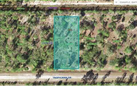 518 TROPICANA DRIVE, INDIAN LAKE ESTATES, FL 33855