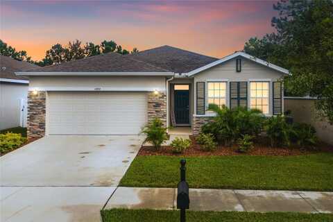 11892 FROST ASTER DRIVE, RIVERVIEW, FL 33579