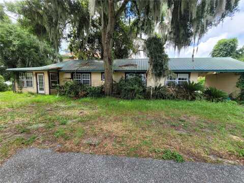 2 MILL STREET, WELAKA, FL 32193