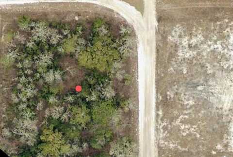 220TH PATH, O BRIEN, FL 32071