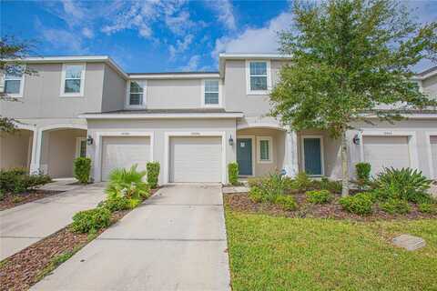 10556 SALT GROVE STREET, ORLANDO, FL 32824