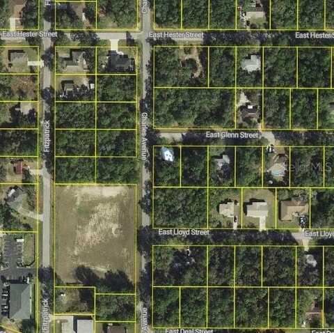 3022 E GLENN STREET, INVERNESS, FL 34453