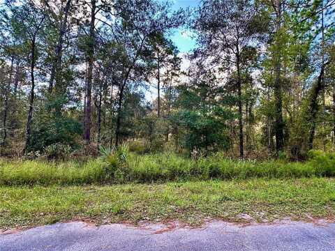 LOT 16 NW SUMMERFIELD AVENUE, DUNNELLON, FL 34431