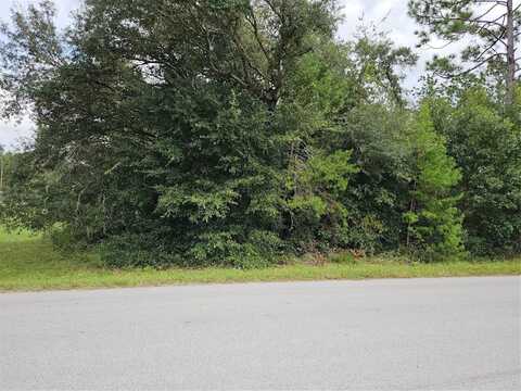 00 SW 129 TERRACE ROAD, DUNNELLON, FL 34432