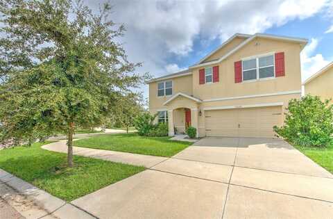 10024 GEESE TRAIL CIRCLE, SUN CITY CENTER, FL 33573