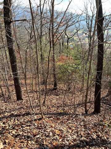 Lot 56C Indian Trail, HAYESVILLE, NC 28904