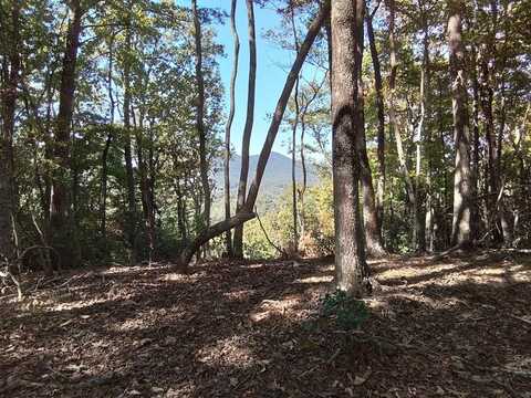 250 Pine Cove Lane, MURPHY, NC 28906