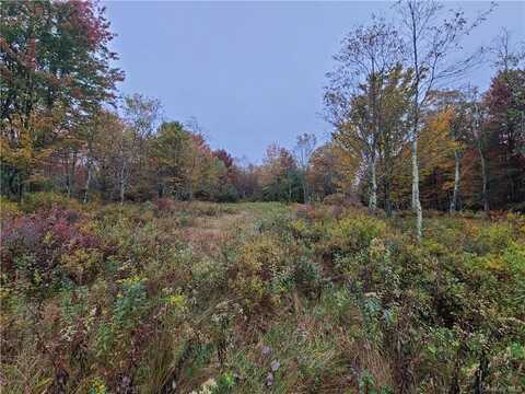 116 Voss Road, Claryville, NY 12725