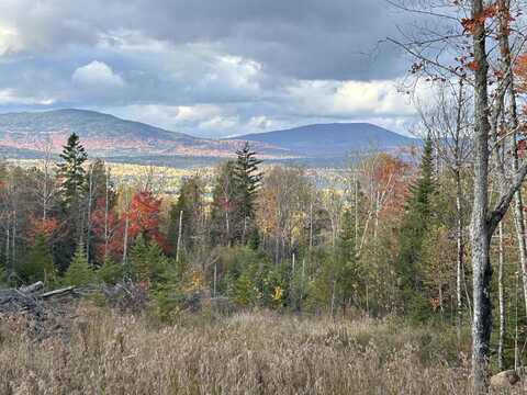 Lot 20 Moose Ridge Road, Dallas Plt, ME 04970