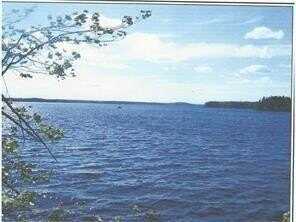 Lot 3 Munson Head Road, Whiting, ME 04691